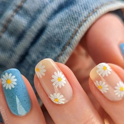 Tessa - Nail Art Inspiration on Instagram: "Dainty Daisies 🌼 Hey friends! Here's a super simple daisy design I created with one stamp and a dotting tool. I need to get more use out of my speckle polishes before the season ends! 😊 • • • Polish: @cirquecolors Robin @hellomaniology Bam White @whatsupnails Fab Cab 🌼 Plate: @hellomaniology collab plate m322 *Link in bio 💸* • • • #cutenailart #springnailart #springnails #nailstamping #daisynails #flowernails #cirquecolors #specklepolish #diynailar Nail Art Designs, Design, Daisy Nails, Daisy Nail Art, Spring Nail Art, Dot Nail Art, Dots Nails, Dot Nail Art Designs, Floral Nail Designs