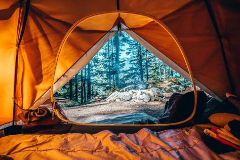Forest and mountain views from inside a tent on a camping trip. Instagram, Outdoor Camping, Outdoor, Camping Hacks, Camping, Outdoor Gear, Camping Gear, Camping Essentials, Backpacking Tent