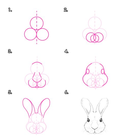 How to Draw Animals: Hares and Rabbits - Tuts+ Design & Illustration Tutorial__rabbit Doodle, Doodles, How To Draw Kids, How To Draw Bunny, Draw Animals, Drawing Animals, Rabbit Drawing, Animal Drawings, Animal Anatomy