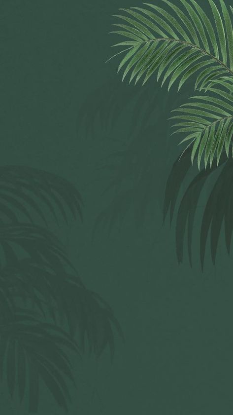 Green palm leaf mobile wallpaper, tropical border background | premium image by rawpixel.com / Adjima Background, Wallpaper, Wallpaper Pictures, Background Design, Wallpaper Backgrounds, Pictures, Dark Green Background, Aesthetic Iphone Wallpaper, Leaf Background