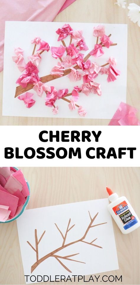 For this Cherry Blossom Craft we’re using good old tissue paper to create beautiful, Spring blossoms.  #tissuepapercraft #cherryblossomcraft #springcrafts  #tissuepapercherryblossoms Diy, Paper Crafts, Pre K, Spring Crafts, Spring Crafts For Kids, Spring Arts And Crafts, Crafts For Kids, Craft Activities, Paper Crafts For Kids