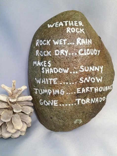Gag Gift Ideas for Christmas | 100 Things 2 Do #christmasgifts #christmas #giftideas #christmasdecor Painted Rocks, Ideas, Gag Gifts, Weather Rock, Gag, Painted Rocks Diy, Rock Crafts, Rock, Funny Valentine