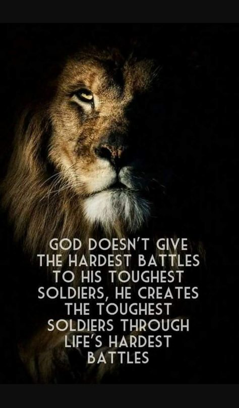 God doesn't give his hardest battles to his toughest soldiers, he creates the toughest soldiers through life's hardest battles. Wisdom Quotes, Christian Quotes, Faith Quotes, Motivation, Wisdom, Spiritual Quotes, Warrior Quotes, Lion Quotes, Words Of Wisdom