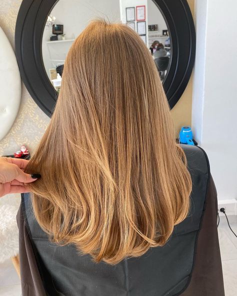 Balayage, Long Hair Styles, Hairstyle, Cortes De Cabelo Médio Liso, Capelli, Thick Hair Styles, Blond, Beleza, Haircuts Straight Hair