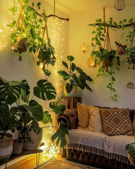 Add glamour and green vibe to the section of your rooms by taking ideas from these Stunning Indoor Plant Corners for having fabulous indoor decor! Bedroom, Interior, Apartment Decor, Room With Plants, Home And Garden, Decor Inspiration, Home Decor Inspiration, Interieur, Living Spaces