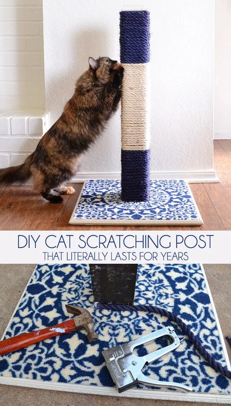Store bought cat scratching posts suck. See how to make your own that will honestly last you years and save you money! Cat Toys, Diy Cat Scratching Post, Diy Cat Scratcher, Cat Scratching Post, Diy Cat Tree, Diy Cat Toys, Scratching Post, Cat Scratcher, Cat Scratching
