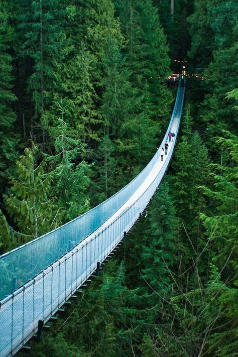Capilano Suspension Bridge Park, Vancouver, British Columbia, Canada ✯ ωнιмѕу ѕαη∂у Travel, Cinque Terre, Vancouver, Colorado, Montreal, Travel Dreams, Bridge, Places To See, Travel Inspiration