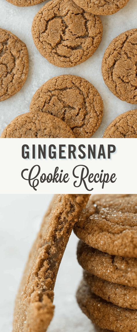 Gingersnap Cookie Recipe - Sugar and Charm Texture, Dessert, Desserts, Pie, Ginger Cookies, Chewy Ginger Cookies, Ginger Snap Cookies, Ginger Snaps Recipe, Chocolate Chip Oatmeal