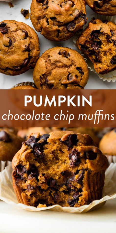 These are my super-moist, soft, and deliciously spiced pumpkin muffins, a go-to recipe in the fall. You could even add chocolate chips! #pumpkinmuffins #fall #baking Pumpkin Choco Chip Muffins, Pumpkin Dark Chocolate Muffins, Pumpkins Chocolate Chip Muffins, Pumpkin Chocolate Chip Muffins Recipe, Easy Pumpkin Muffins Chocolate Chip, Pumpkin Chocolate Chips Muffins, Best Pumpkin Chocolate Chip Muffins, Choc Chip Pumpkin Muffins, Jumbo Pumpkin Chocolate Chip Muffins