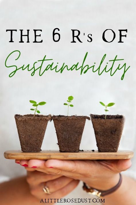 Sustainability isn't a straight forward line. It takes a series of conscious decisions in order to make it work. Of course we all know the standard three: reduce, reuse recycle but do you know the other 3 R's of sustainability? Here are the 6 R's of sustainability to help you live a low waste life. #sustainableliving #ecofriendly #sustainability #zerowaste Small Gardens, Garden Planning, Design, Gardening Tips, Garden Tools, Spring Garden, Eco Friendly House, Low Maintenance Garden, Environmentally Friendly Living