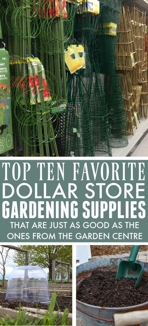 Gardening, Gardening Supplies, Decoration, Layout, Diy Herb Garden, Greenhouse Supplies, Dollar Store Diy Projects, Dollar Store Diy, Dollar Store Hacks