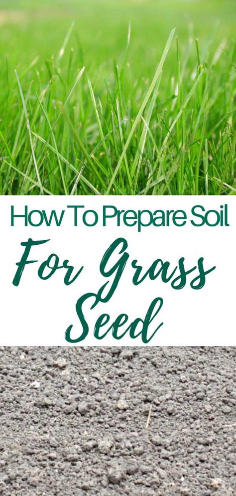 HOW TO PREPARE SOIL FOR GRASS SEED - Growing a healthy lawn from scratch requires a healthy soil. Success or failure is strongly tied to the way you get the soil ready for seeding. Here’s how to prepare soil for grass seed. #easypeasycreativeideas #gardening #gardens #gardenideas #gardeningtips #lawn #lawncare #howto #howtomake Best Grass Seed, Planting Grass Seed, Planting Grass, Garden Soil, Growing Grass From Seed, Growing Grass, Gardening Tips, Grass Seed, Healthy Lawn