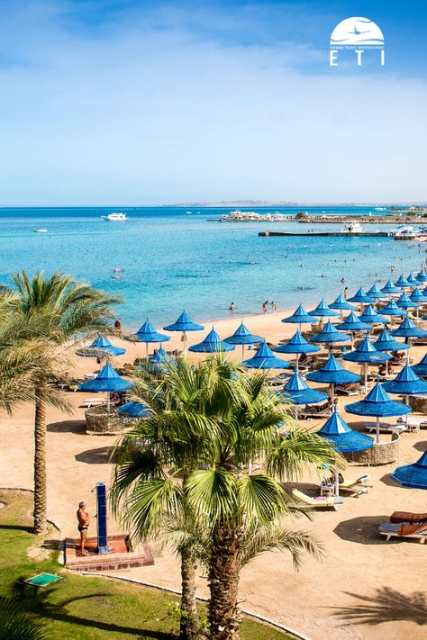 Urlaub in Ägypten - Urlaub in Hurghada The Grand Hotel Hurghada ist eines der RED SEA HOTEL Kette direkt in Hurghada. Das Hotel verfügt über einen privaten, flach abfallenden Sandstrand.  Buffetrestaurants, Souvenirshop, Fit­nessraum, Bars, ein Aquacenter und ein Pool stehen zur Verfügung.  Traumurlaub am Sandstrand!  #egypt #hurghada #ägypten #urlaub #strand #sandstrand #meer #rotesmeer #redsea #sand #traumurlaub #grandhotel #reisen #sonne Aqua, Travel Destinations, Outdoor, Resort, Restaurant, Amazing Destinations, Hotel, Beach, Strand