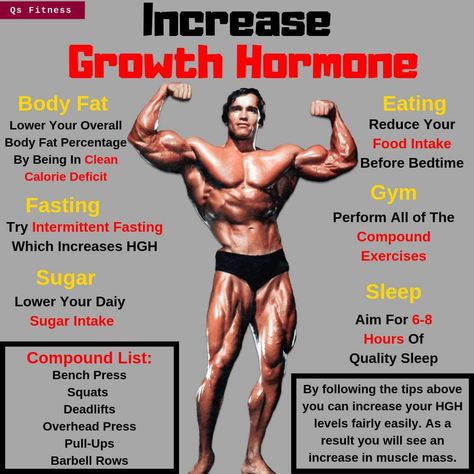 Motivation, Nutrition, Design, Arnold Schwarzenegger, Boost Testosterone, Effective Workouts, Body Fat Loss, Advanced Workout, Lose Belly Fat