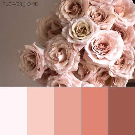 Quicksand Roses, Dusty muted rose, Flower Moxie, DIY Wedding Flowers, Marsala and Dusty Rose Wedding, monotone wedding palette Inspiration, Floral, Pastel, Dusty Rose, Blush Roses, Dusty Rose Wedding, Rose Peach, Rose, Bright Wedding Flowers