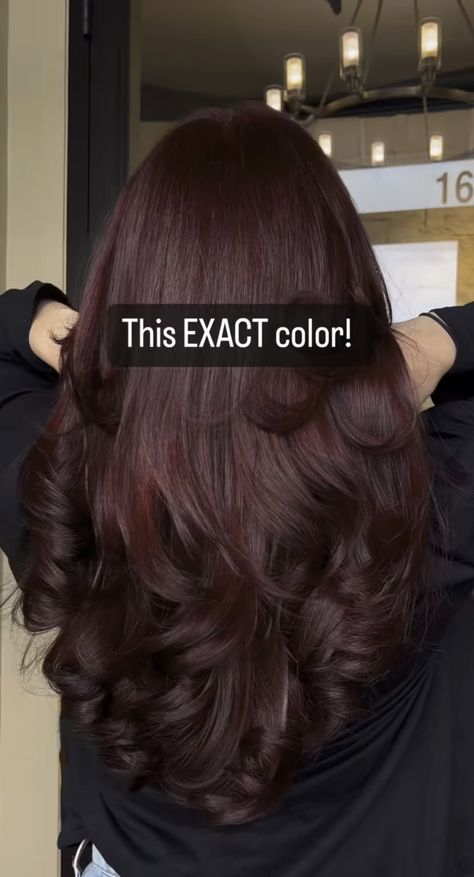 Balayage, Haar, Gaya Rambut, Red Hair Inspo, Maroon Hair, Hair Ideas, Cortes De Cabello Corto, Brown Hair Inspo, Aesthetic Hair