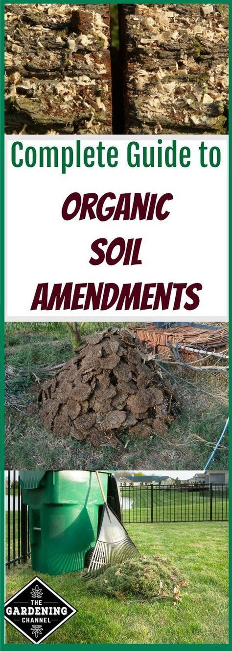 Organic soil amendments can improve the quality and structure of your soil.  They will make your soil able to retain moisture and your plants healthier. Compost, Layout, Organic Gardening Tips, Organic Gardening, Gardening, Fruit, Organic Gardening Soil, Organic Vegetable Garden, Organic Soil