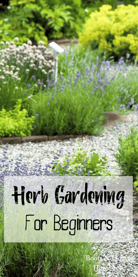 Herb gardening for beginners. Get tips, tricks, and learn the basics of starting an herb garden. Organic Gardening Tips, Garden Types, Gardening, Shaded Garden, Herb Gardening, How To Grow Herbs, Growing Herbs Indoors, Growing Herbs In Pots, Growing Herbs Outdoors