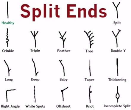 The 16 types of split ends Hair Growth, Eyebrows, Split Ends, Hair Growth Charts, Hair Breakage, Straight Hairstyles, Hair Journey, Hair Hacks, Hair Type