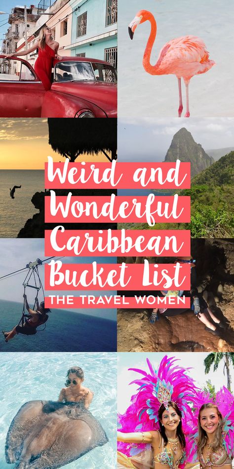 The Weird and Wonderful Caribbean Bucket List. Caribbean Bucket List, Travel Bahamas, Swimming With Pigs, Carribean Travel, Resort Amenities, Island Holidays, Travel Caribbean, American Dreams, Travel Women
