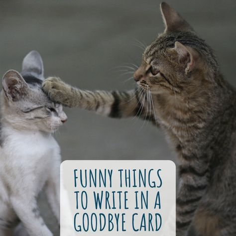 Here are some funny things to write in a goodbye card for co-workers or a friend or loved one moving or going through a breakup. Write them in a card or just send your funny goodbye message by text. Funny Leaving Quotes, Funny Leaving Cards, Funny Goodbye Quotes, Funny Messages, Funny Goodbye, Funny Farewell Messages, Funny Things, Goodbye Messages For Friends, Goodbye Quotes For Coworkers