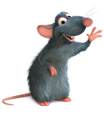 Remy is the protagonist of Disney/Pixar's 2007 Academy Award-winning animated film, Ratatouille. He is a gray, average-sized rat who dreams of being a chef. Remy is a rat who simply adores food and its quality. He befriends a spectral representation of his hero, the late Auguste Gusteau. Due to his love for food, he has a strong sense of smell, and his father Django appoints him as poison-checker amongst the rat's clan after Remy stops him from eating a poisoned apple core. Remy's gift with..... Disney, Disney Characters, Walt Disney, Rats, Disney Animation, Cartoon, Animated Characters, Cartoons, Animaux