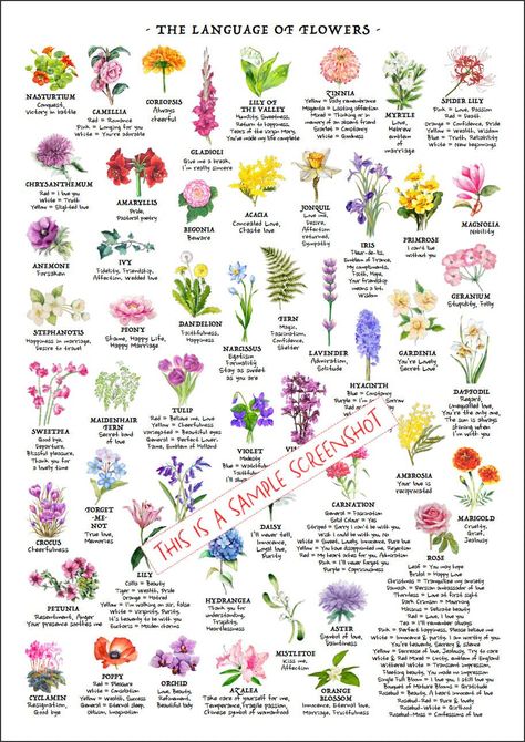 Flowers, Nature, Planting Flowers, Floral, Flower Guide, Flower Meanings, Flower Chart, Meaning Of Flowers, Flower Names
