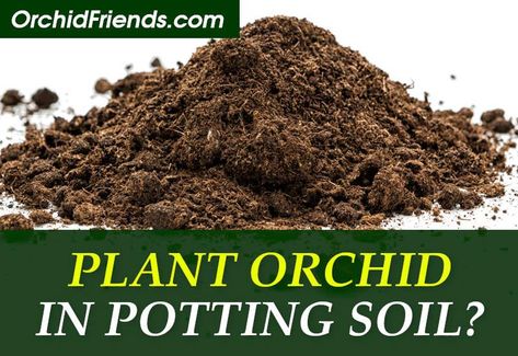 Friends, Gardening, Diy, Compost, Alternative, Orchid Soil, Growing Orchids, Orchid Potting Mix, Repotting Orchids