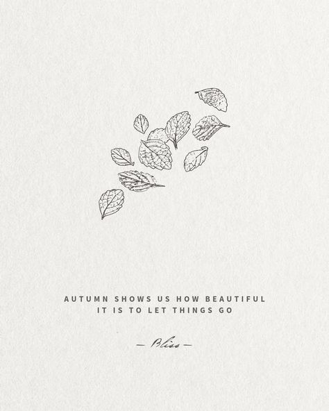 Autumn Shows Us How Beautiful It Is To Let Things Go. — Bliss Quote on beige background with outline of falling leaves Inspiration, Uplifting Quotes, Fall Quotes, Fall Season Quotes, Autumn Quotes, October Quotes, Autumn Puns, Positive Quotes, Bliss Quotes