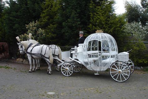 Cinderella, Wedding Carriage, Decoration, Fairytale Wedding, Cinderella Carriage, Horse And Carriage Wedding, Cinderella Wedding, Disney Fairy Tale Weddings, Cinderella Coach