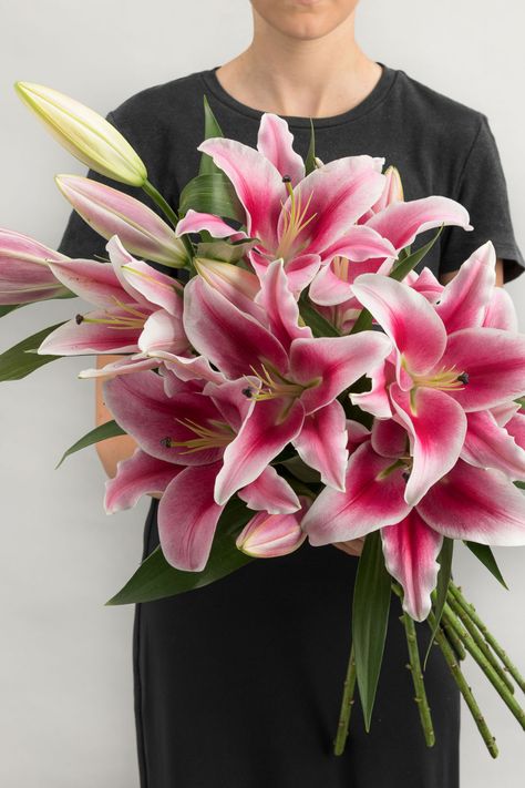 Roses, Flora, Summer, Floral, Tulips, Bonito, Peonies Bouquet, Lily Bouquet, Pink Lily