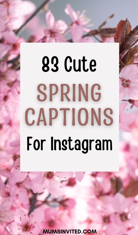 Capture the essence of spring in your selfies with these cute and aesthetic Instagram captions. From short and sweet to flower-inspired, these Instagram post ideas will elevate your feed and perfectly complement your blooming photos. Don't miss out on the opportunity to celebrate the season with the perfect spring caption! Instagram, Ideas, Spring Quotes, Flower Captions For Instagram, Springtime Quotes, Hello Spring Quotes, Spring Season Quotes, Instagram Captions, Spring Qoutes