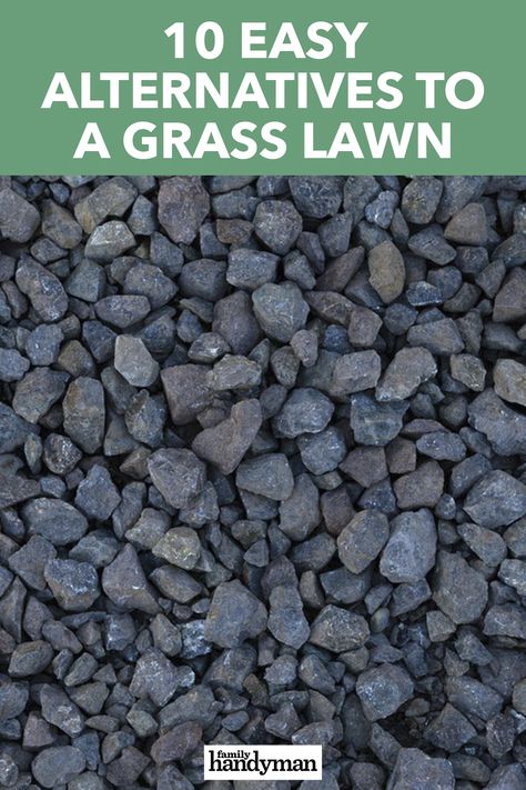 Interior, Texas, Gardening, Alternatives To Mulch, Lawn Alternatives Drought Tolerant, No Grass Yard, No Grass Backyard, Mulch Alternatives, No Grass Landscaping