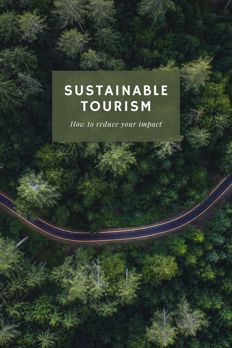 Eco Friendly Travel, Sustainable Tourism, Sustainable Environment, Travel And Tourism, Travel Experience, Tourism, Ethical Travel, Travel Products, Travel Advisor