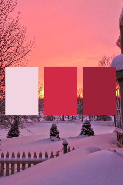 Not quite orange...but close to it...and absolutely stunning! Find out why you should lean toward pink and red instead of true orange! Summer, Winter, Red Color, Red Colour Palette, Color, Red Orange, Cool Tones, Pink And Orange, Best