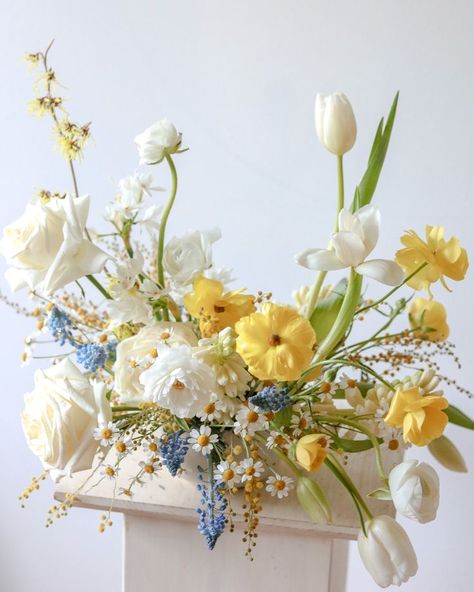 Sweet spring wedding floral table centerpiece in white, gold, and blue. Roses, ranunculus, tulips, butterfly ranunculus, acacia, hyacinth, muscari, and feverfew. #seattleflorist #springweddingflowers #yellowandblueflowers Floral, Flora, Spring Floral Arrangements Centerpieces, White Floral Arrangements, White Tulips Wedding, Spring Wedding Flower Arrangements, Spring Floral Arrangements, Spring Wedding Flowers Centerpieces, Spring Flower Bouquet