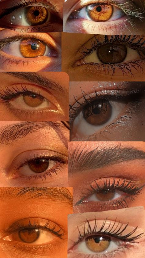 Brown eyes are beautifully Brown Eyes, Dark Eyes, Dark Brown Eyes, Honey Eyes, Brown Eyes Aesthetic, Amber Eyes Color, Amber Eyes, Cool Eyes, Eye Colors
