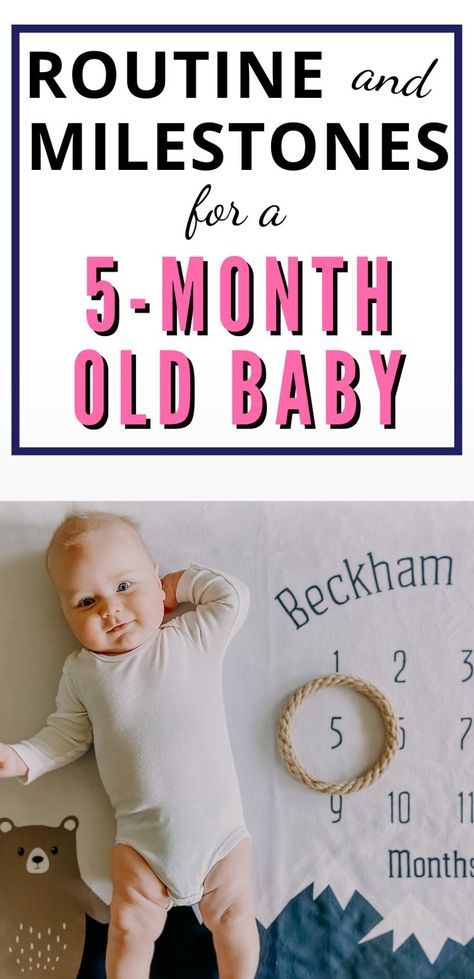 5 Month Old Schedule, 5 Month Baby, 5 Month Olds, Baby Schedule, 5 Months, 5 Month Old Milestones, 5 Month Baby Milestones, 5 Month Old Baby, Toddler Schedule