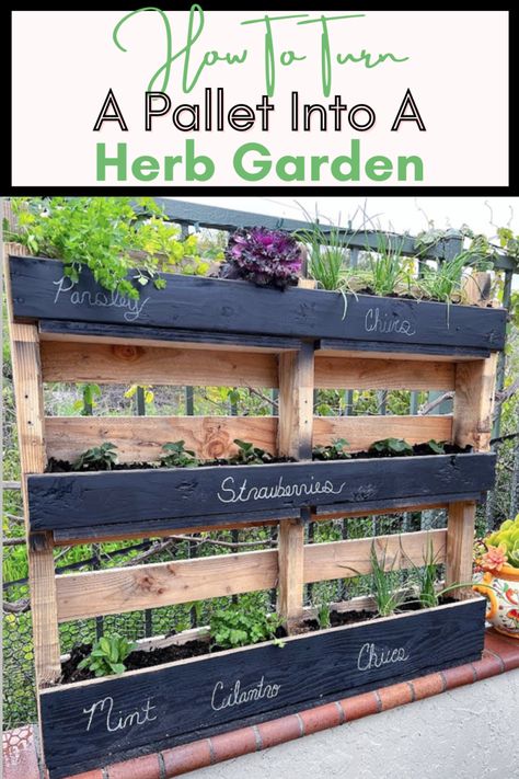 Design, Layout, Inspiration, Diy, Planters, Floral, Decoration, Herb Garden Pallet, Diy Herb Garden