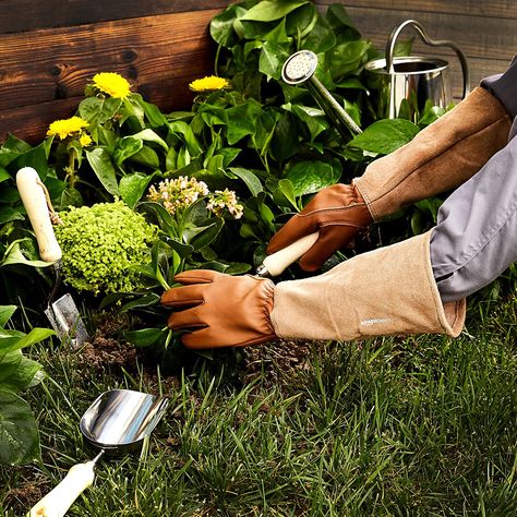 Gardening gloves are practically essential to a good and safe gardening experience. Check out our list of gardening gloves that'll keep your hands protected, dry and cool while gardening. Walmart, Gardening Gloves, Gardening, Leather Gardening Gloves, Gardening Outfit, Gardening Glove, Pulling Weeds, Work Gloves, Pruning Roses