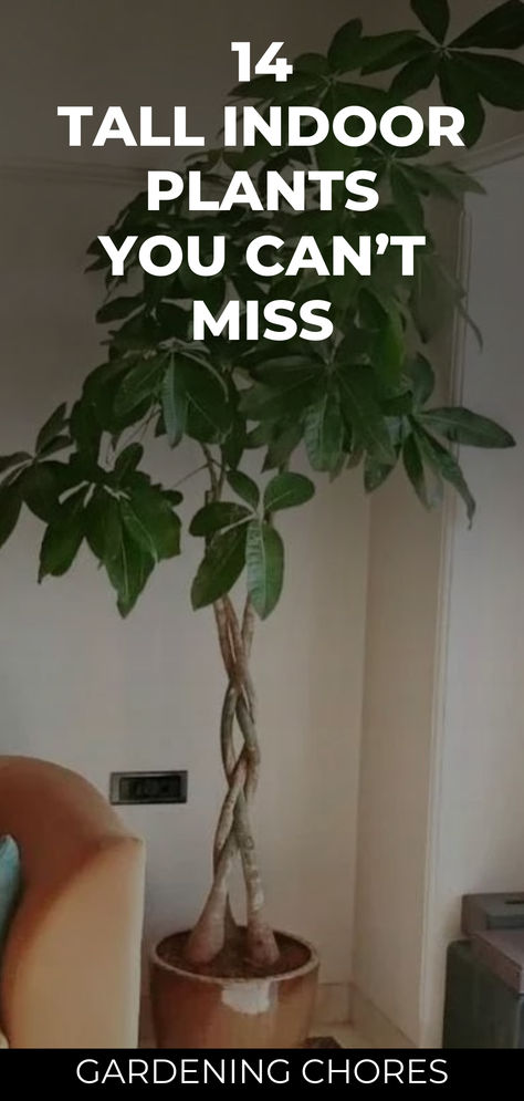 Transform Your Space: 14 Gorgeous Tall Indoor Plants for Ultimate Green Living 🏡🌿 Tall Low Maintenance Plants Indoor, Living Room Pot Plants, Stylish Indoor Plants, Indoor Tree Dining Room, Latest Indoor Plants, Fern Plant Indoor, Living Room Floor Plants, Palm Indoor Plant Living Rooms, Tall Floor Plants Indoor