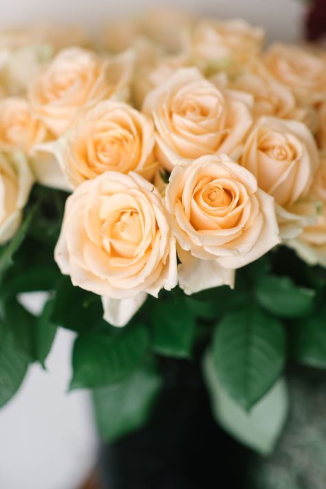 Inspiration, Peach Roses, Peach Bouquet, Peach Rose, Peach Colored Roses, Peach Flowers, Bouquet Recipe, Orange Roses, Peach Wedding