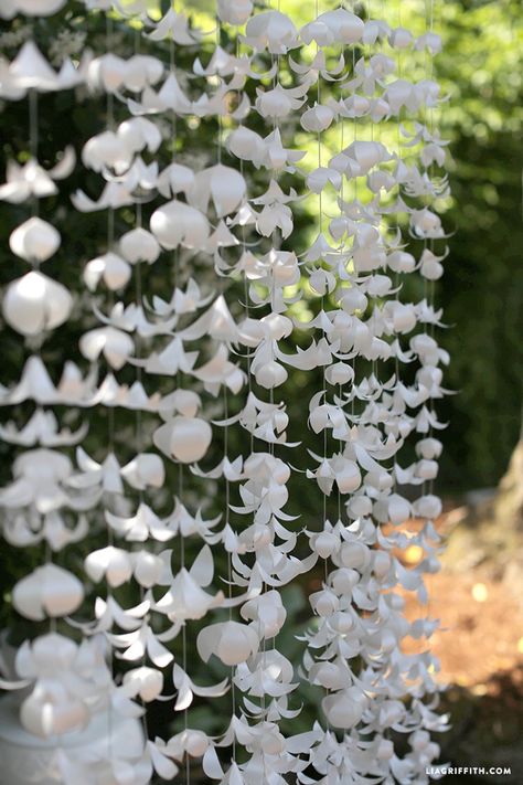 Paper flower wall
