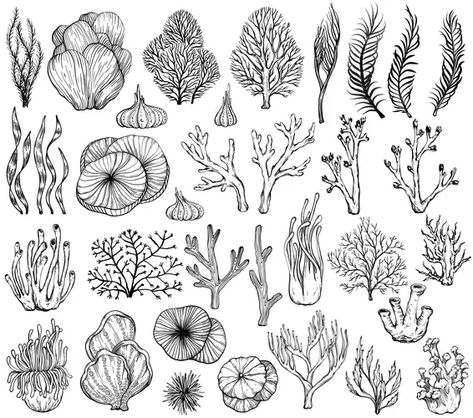 Silhouette sea coral reef oceanic animal set Vector Image Coral Reef Drawing, Coral Tattoo, Coral Drawing, Marine Tattoo, Ocean Plants, Ocean Drawing, Sea Drawing, Coral Draw, Underwater Plants