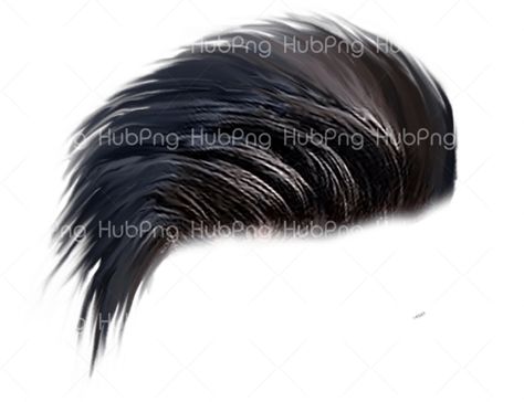 Download Hair, Hair Png, Hair Images, Photoshop Hair, Hear Style, Boy Hair, Photoshop Pics, Photoshop Tutorial Photo Editing, Png Photo