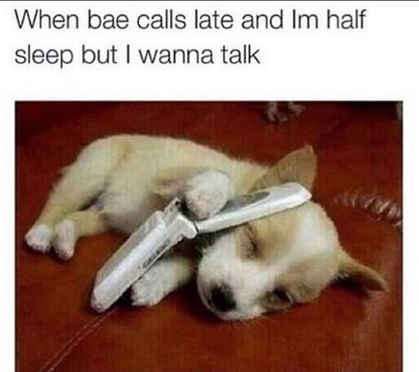 These Dogs Are Having Some Relationship Issues (Memes) Funny Memes, Funny Jokes, Humour, Funny Relatable Memes, Funny Relationship Memes, Funny Relatable Quotes, Lmfao Funny, Really Funny, Funny Boyfriend Memes