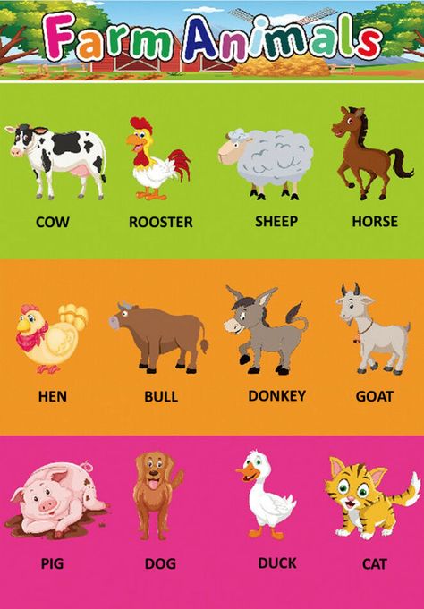 Art, Farm Animals List, Animal Worksheets, Animals For Kids, Animal Activities, Farm Animals For Kids, Farm Animals Preschool, Farm Animals Pictures, Farm Activities Preschool