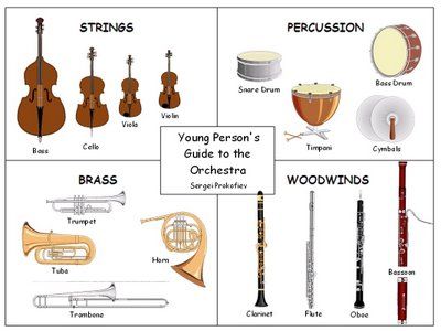 Some pictures of the various instrument families. Music Theory, Instrument Families, Instruments, Orchestra Music, Music Worksheets, Music Lessons, Composer Study, Music Centers, Music Ed
