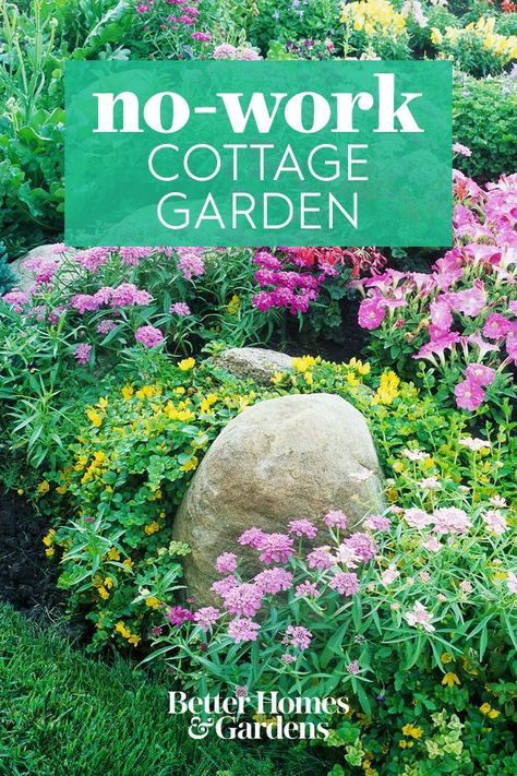 Garden Design, Texture, Gardening, Hue, Design, Gardens, Low Maintenance Garden, Low Maintenance Garden Design, Cottage Garden
