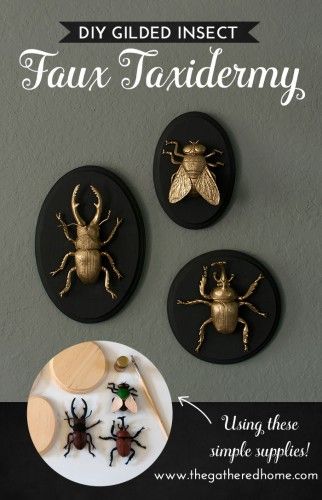 These GIANT gilded insect art pieces are such a crazy, glam 3D addition to my living room! They were super simple to make and you can get ALL the supplies you need at the craft store! (Or order them from Amazon and you don't even need to leave the couch!) Halloween Crafts, Diy Crafts, Diy Projects, Diy, Diy Home Décor, Diy Artwork, Crafts, Diy Halloween Decorations, Faux Taxidermy